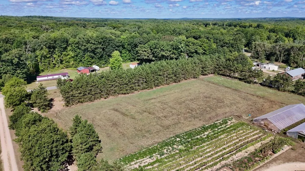11276 Pine Grove Road NE Richland Township, MI 48891