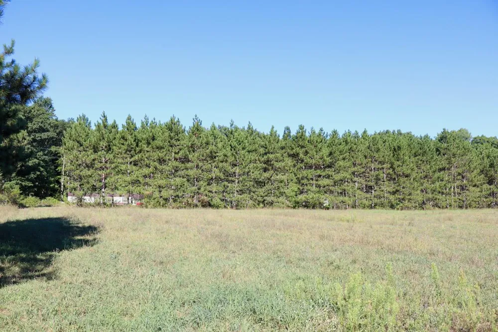 11276 Pine Grove Road NE Richland Township, MI 48891
