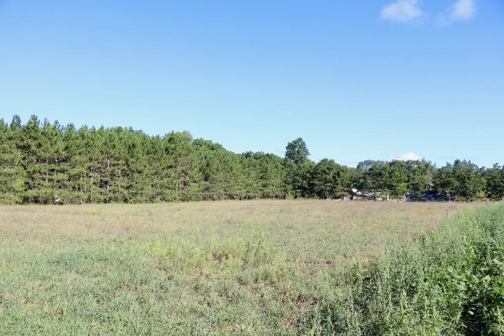 11276 Pine Grove Road NE Richland Township, MI 48891