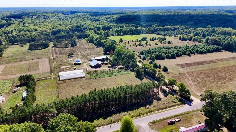 11276 Pine Grove Road NE Richland Township, MI 48891