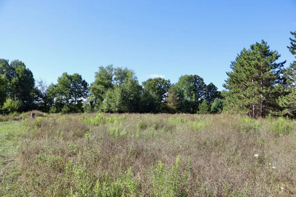 11276 Pine Grove Road NE Richland Township, MI 48891
