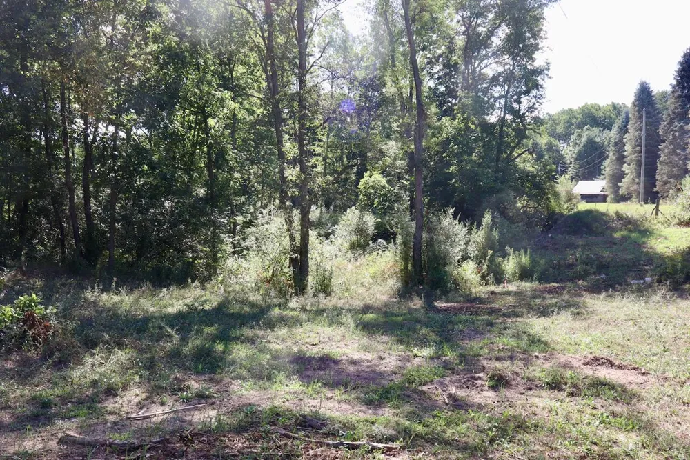 11276 Pine Grove Road NE Richland Township, MI 48891