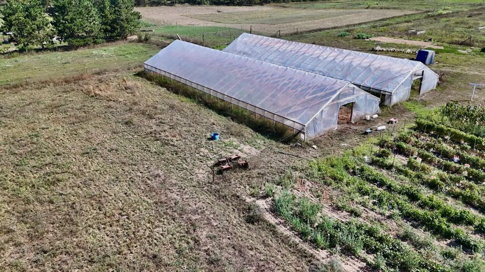 11276 Pine Grove Road NE Richland Township, MI 48891