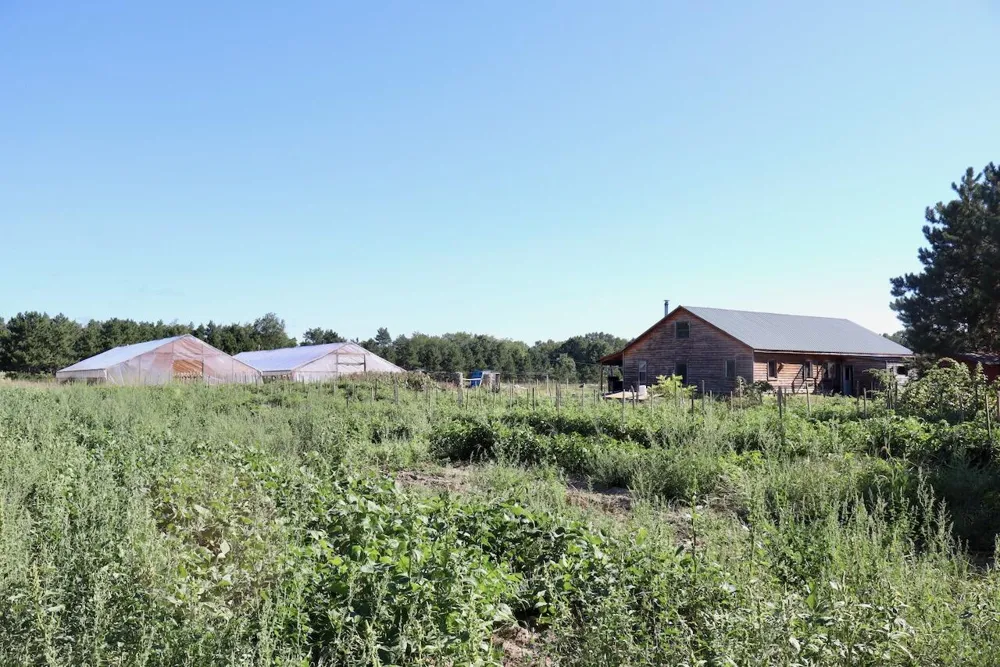 11276 Pine Grove Road NE Richland Township, MI 48891