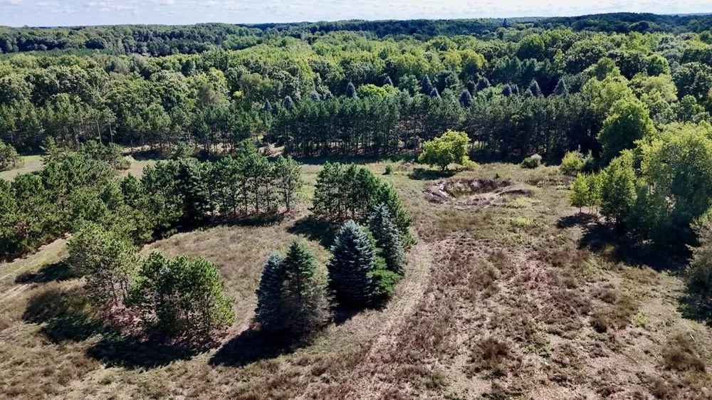 11276 Pine Grove Road NE Richland Township, MI 48891
