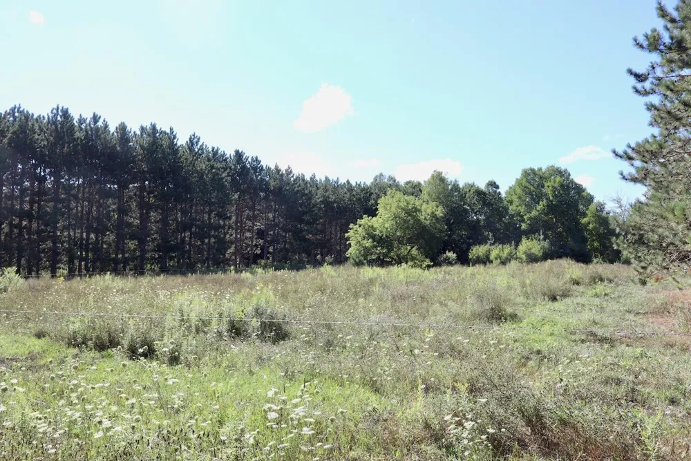 11276 Pine Grove Road NE Richland Township, MI 48891