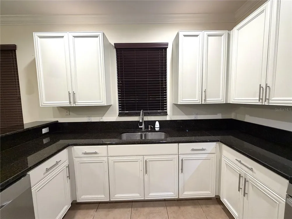 19314 RED SKY COURT Land O Lakes, FL 34638