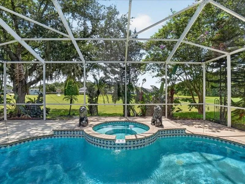 10420 LUCAYA DRIVE Tampa, FL 33647