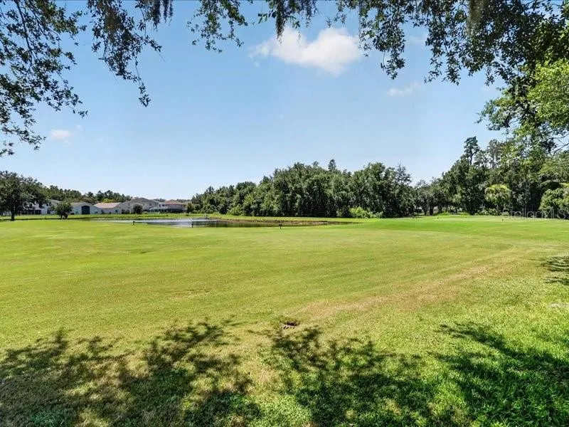 10420 LUCAYA DRIVE Tampa, FL 33647