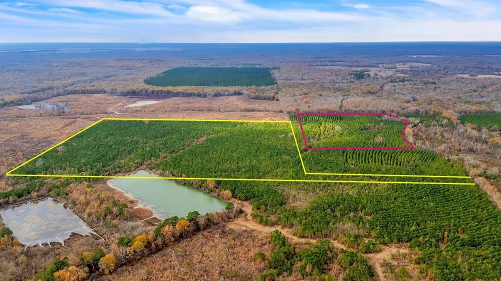 Cr-4308 De Kalb, TX 75559
