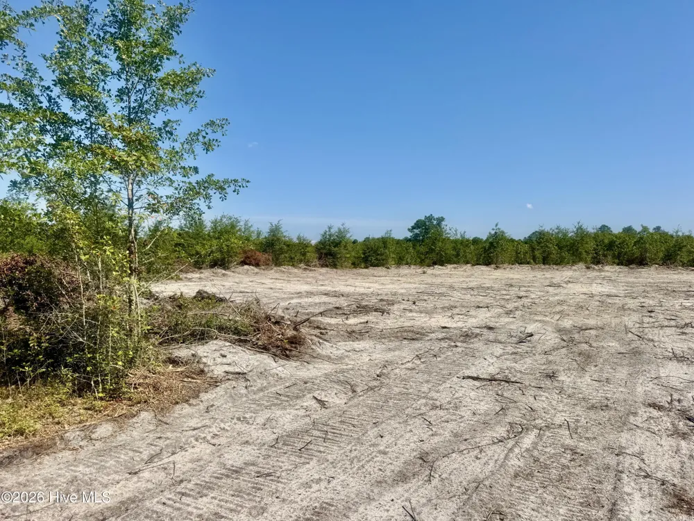 0 Dowd Dairy Road White Oak, NC 28399