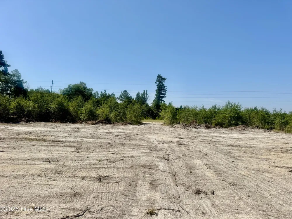 0 Dowd Dairy Road White Oak, NC 28399