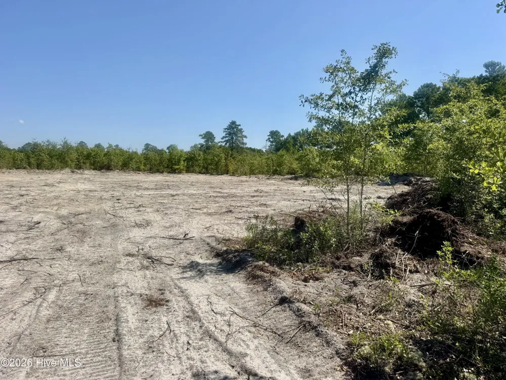 0 Dowd Dairy Road White Oak, NC 28399