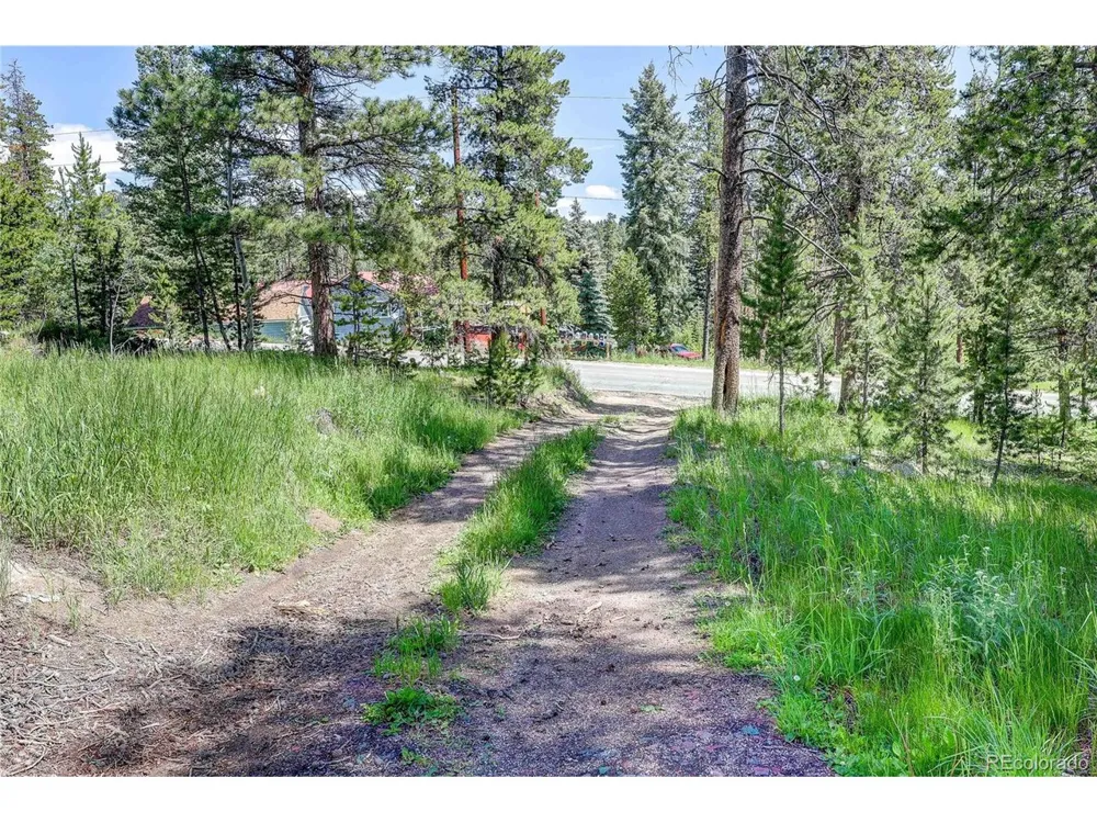 10893 Milliken Avenue Conifer, CO 80433