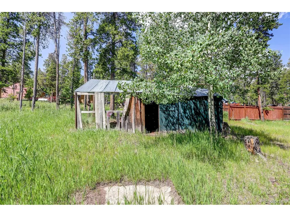 10893 Milliken Avenue Conifer, CO 80433