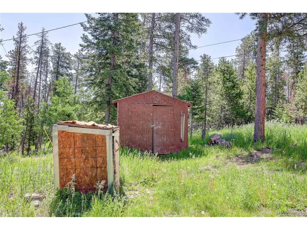 10893 Milliken Avenue Conifer, CO 80433