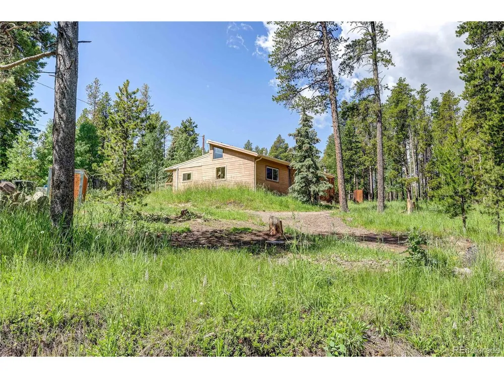 10893 Milliken Avenue Conifer, CO 80433