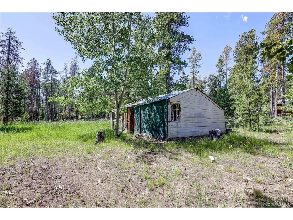 10893 Milliken Avenue Conifer, CO 80433
