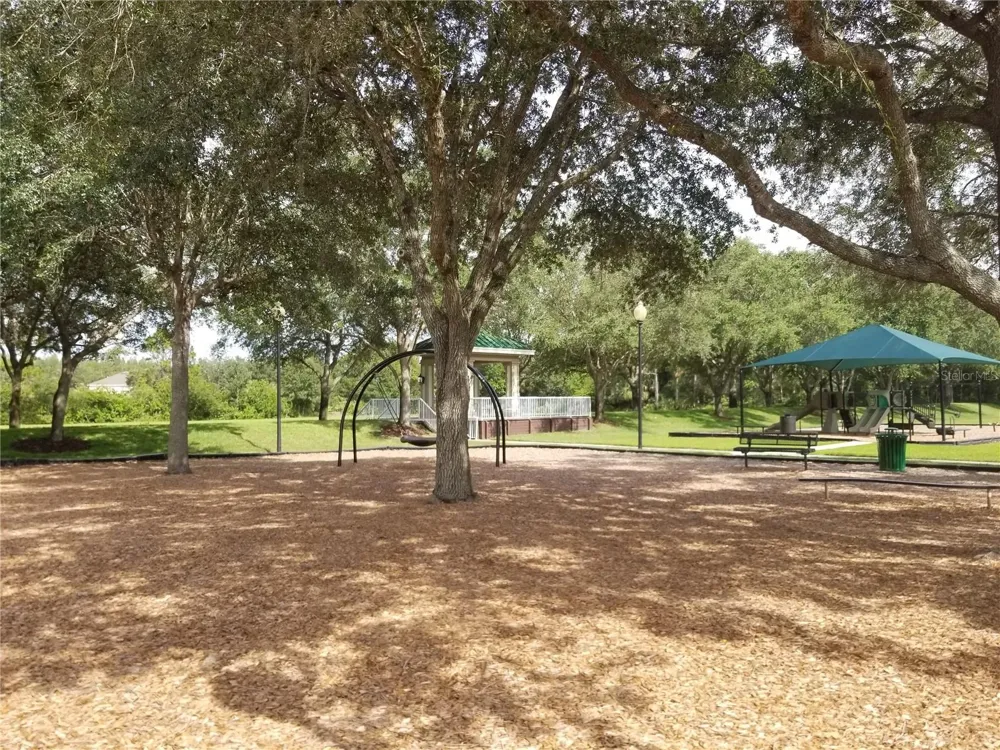 18912 WOOD SAGE DRIVE Tampa, FL 33647