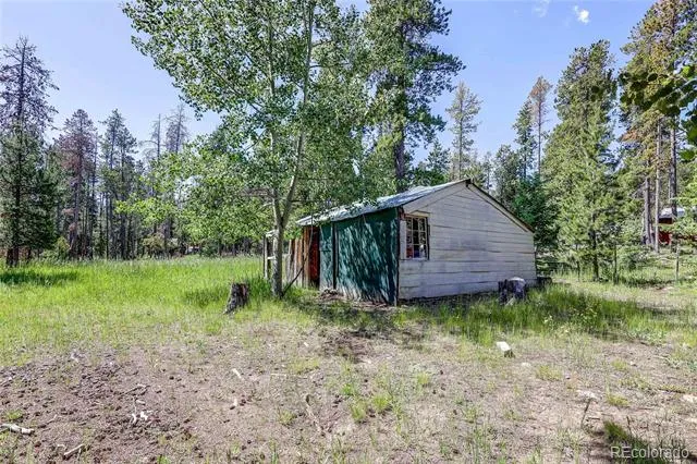 10893 Milliken Avenue Conifer, CO 80433