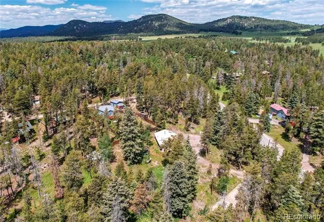 10893 Milliken Avenue Conifer, CO 80433