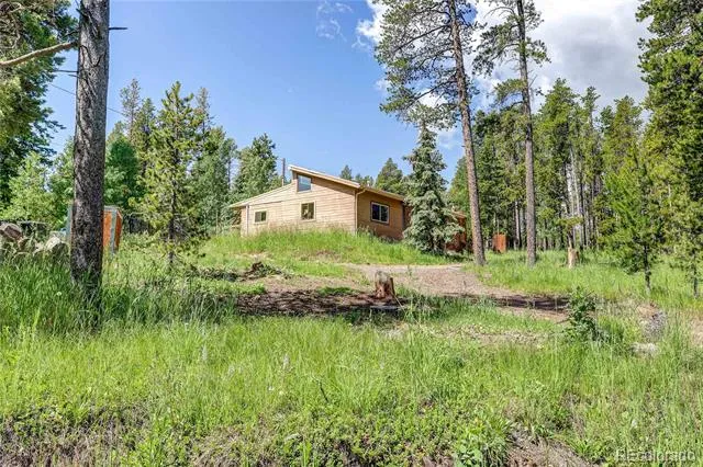 10893 Milliken Avenue Conifer, CO 80433