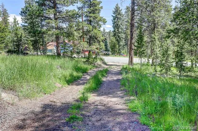 10893 Milliken Avenue Conifer, CO 80433