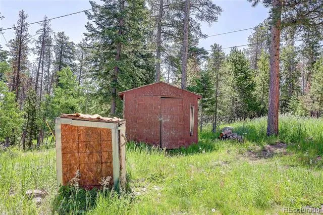 10893 Milliken Avenue Conifer, CO 80433