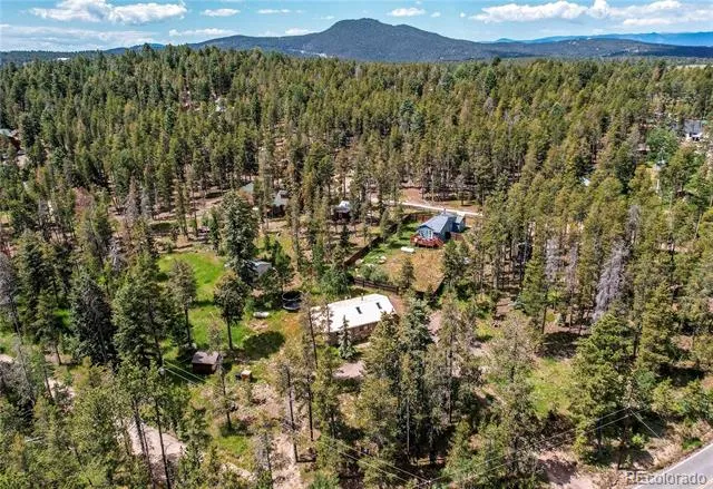 10893 Milliken Avenue Conifer, CO 80433