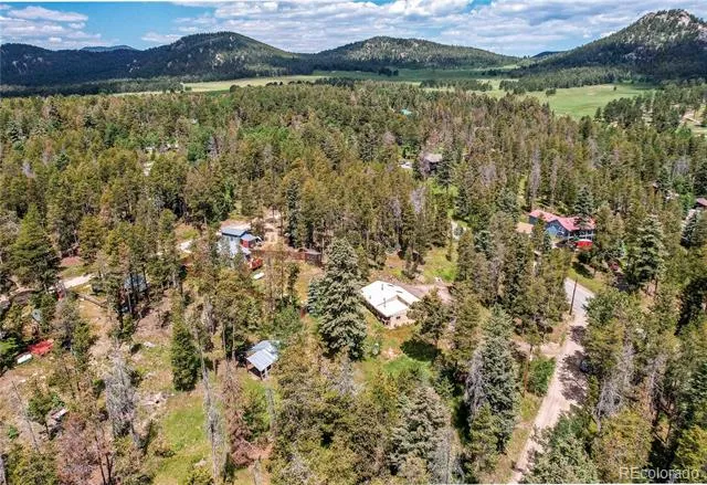10893 Milliken Avenue Conifer, CO 80433