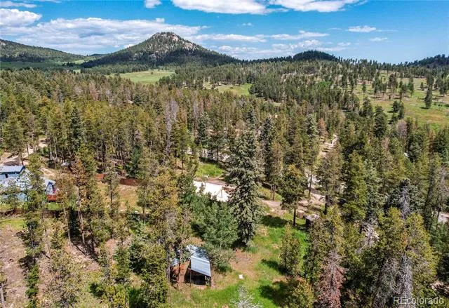 10893 Milliken Avenue Conifer, CO 80433