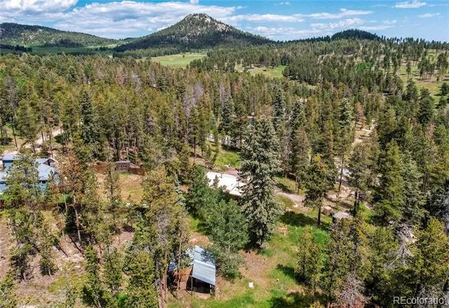 10893 Milliken Avenue Conifer, CO 80433