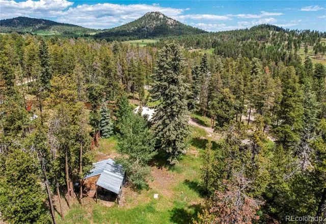 10893 Milliken Avenue Conifer, CO 80433