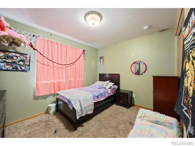 84 Pike Lane Severance, CO 80550