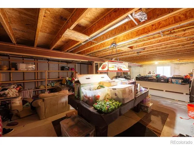 84 Pike Lane Severance, CO 80550