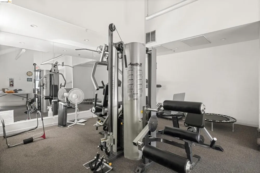 535 Pierce Street #Unit #3109 Albany, CA 94706