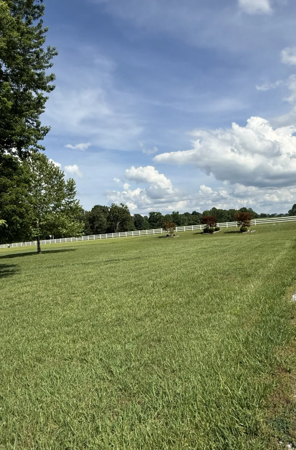 3168 Maxey Rd Cedar Hill, TN 37032