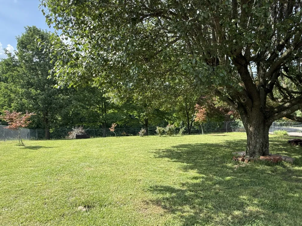 3168 Maxey Rd Cedar Hill, TN 37032