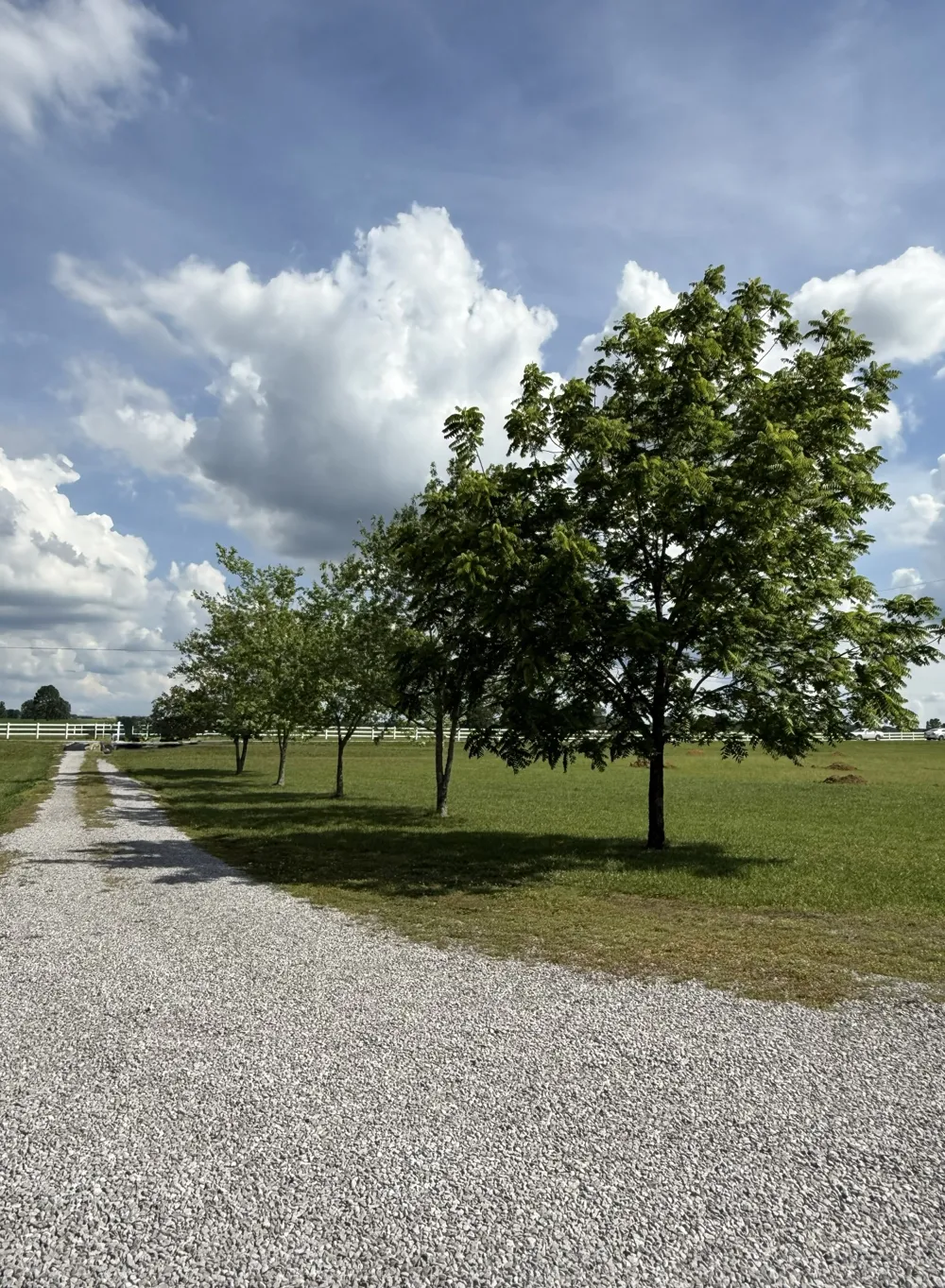 3168 Maxey Rd Cedar Hill, TN 37032