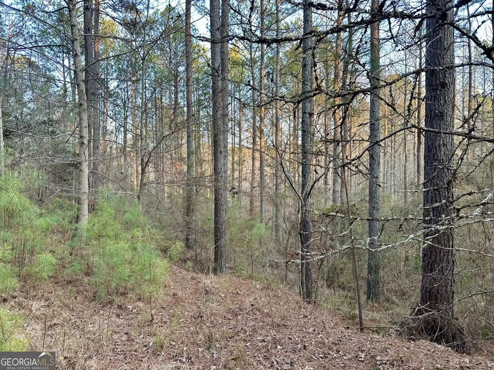 0 - TRACT 4 Mt Zion Church RD Whitesburg, GA 30185