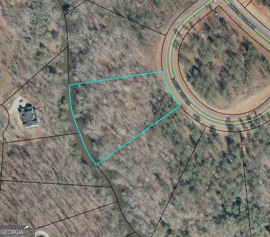 109 Forest View CIR Forsyth, GA 31029