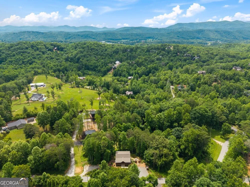 531 Sowers RD Blue Ridge, GA 30513