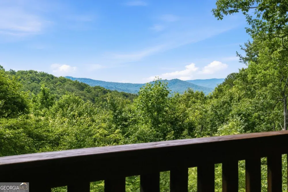 175 Leisure DR Ellijay, GA 30536