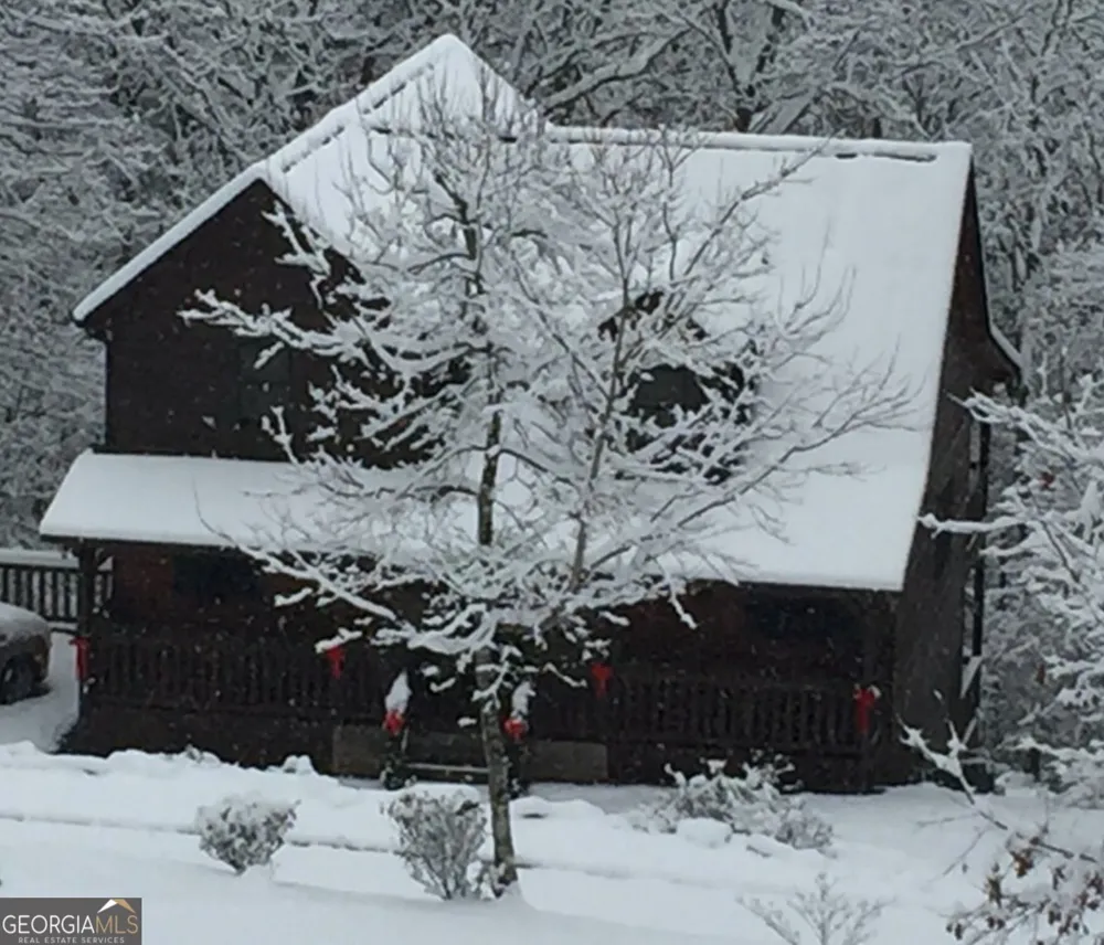 175 Leisure DR Ellijay, GA 30536
