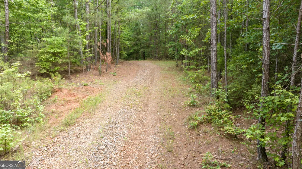 0 Nowhere LN Athens, GA 30601