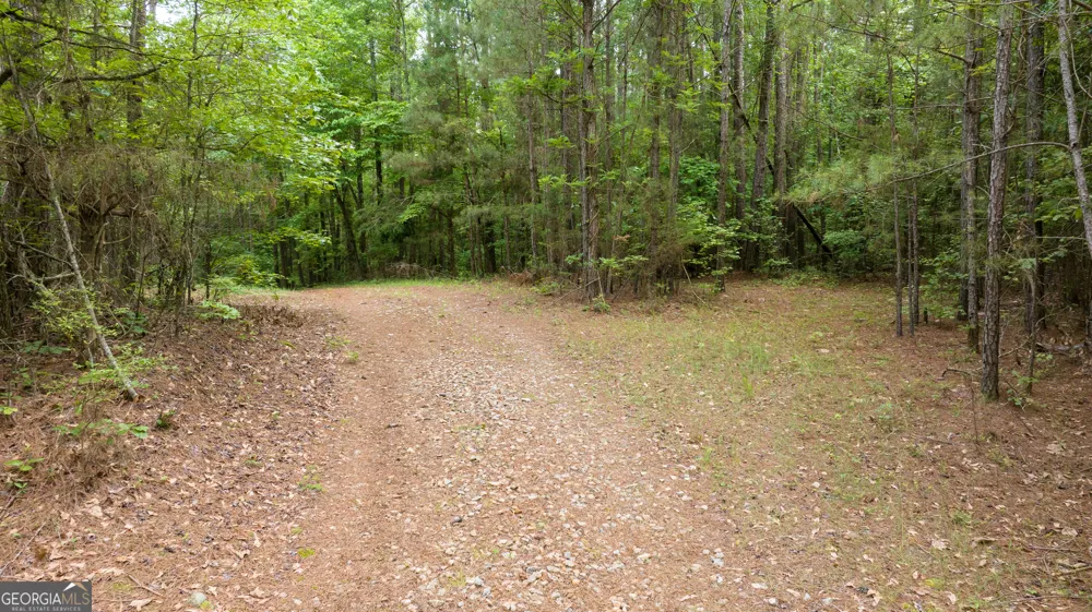 0 Nowhere LN Athens, GA 30601