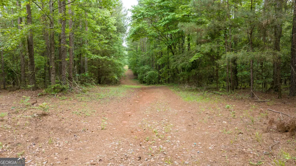 0 Nowhere LN Athens, GA 30601