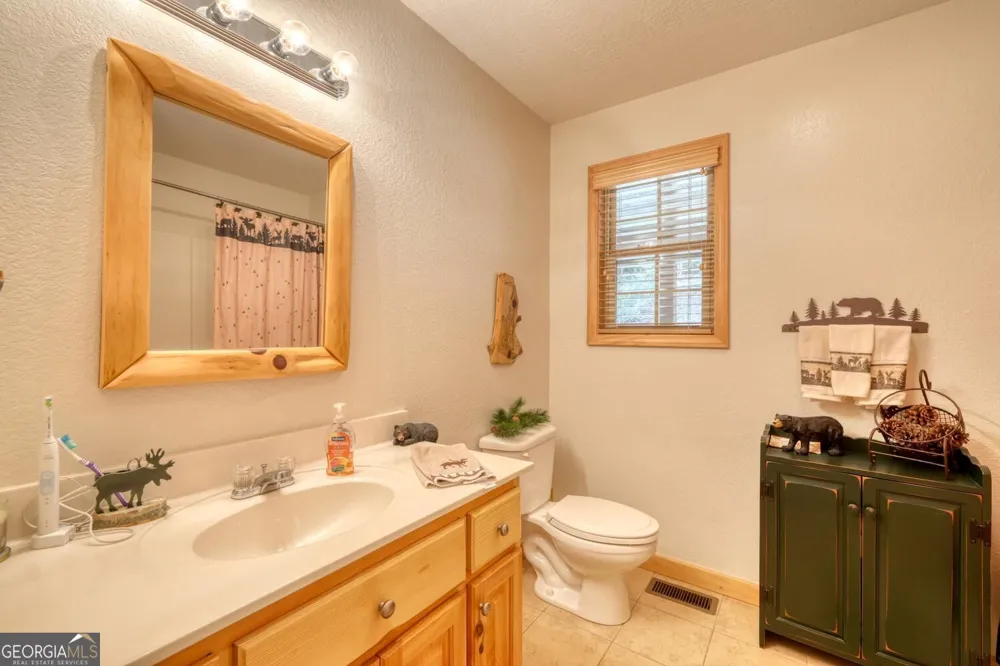 394 Sheep Stomp RD Blairsville, GA 30512