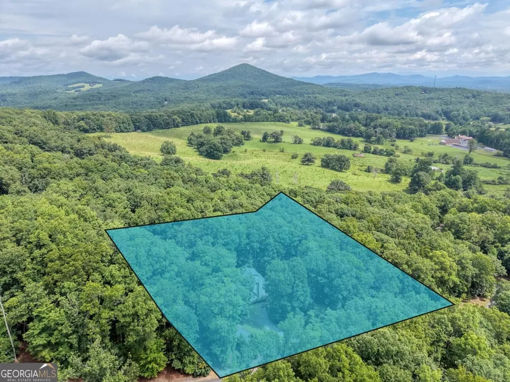 394 Sheep Stomp RD Blairsville, GA 30512