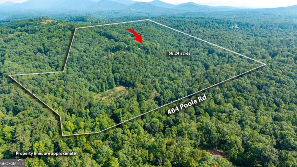 464 Poole RD Ball Ground, GA 30107